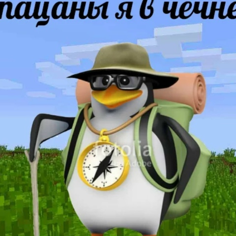 Сергей Мельников, 70