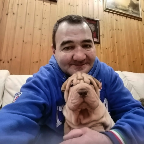 Заза Кабисов, 50